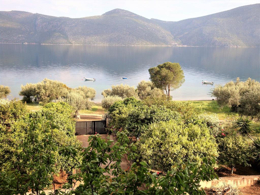 Waterfront Mediterranean Villa Skroponeria エクステリア 写真