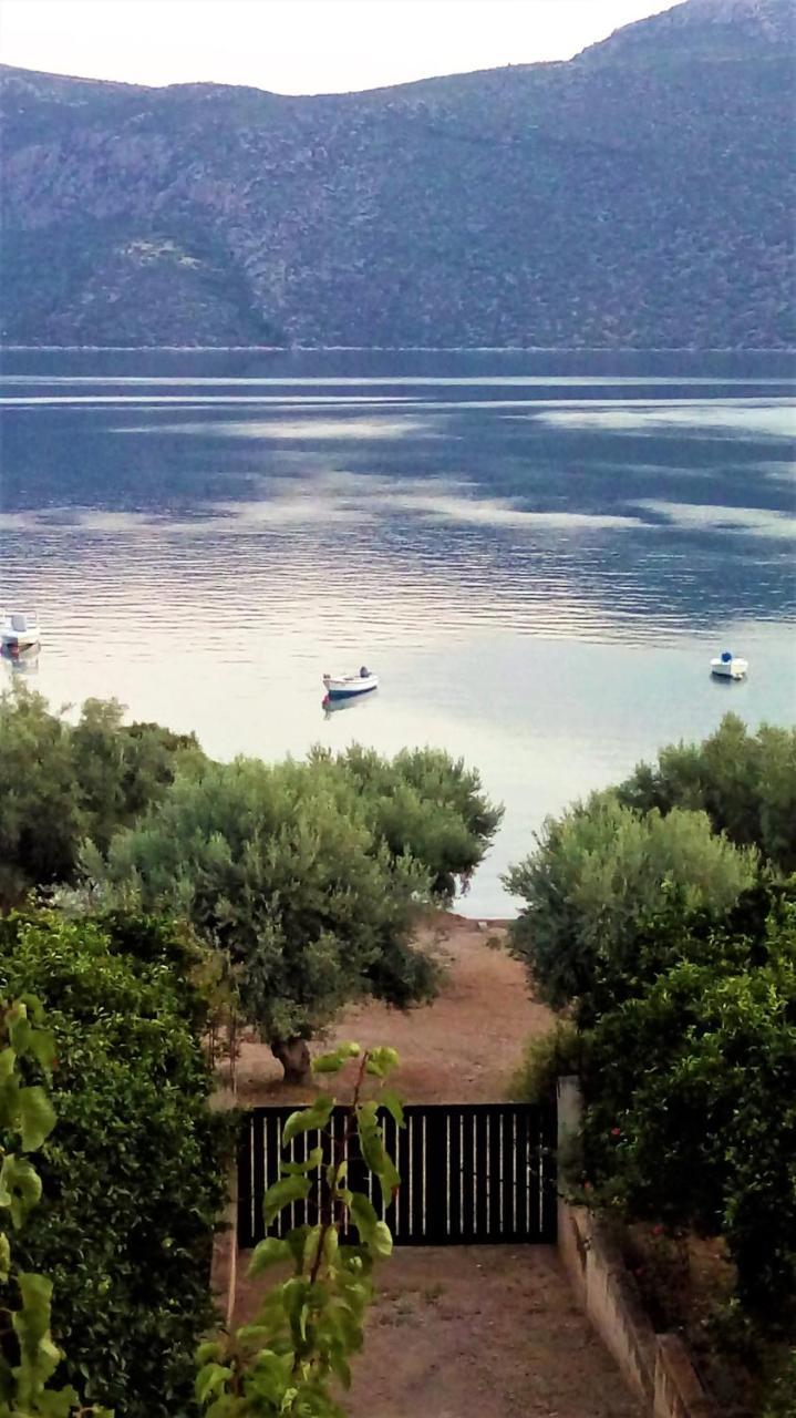 Waterfront Mediterranean Villa Skroponeria エクステリア 写真